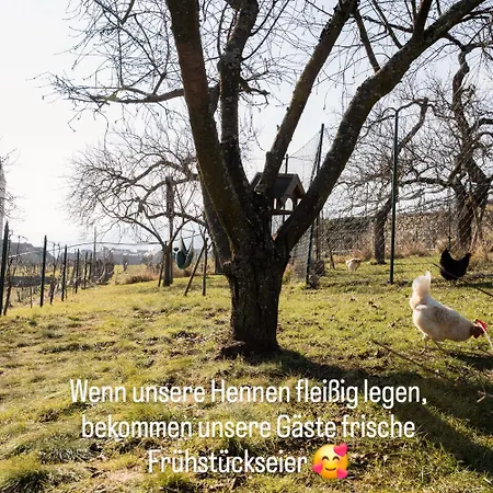 Kleinod Kirchensteig - In Der Wachau