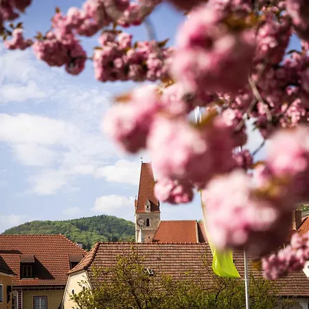 Apartament Kleinod Kirchensteig - In Der Wachau Weissenkirchen in der Wachau