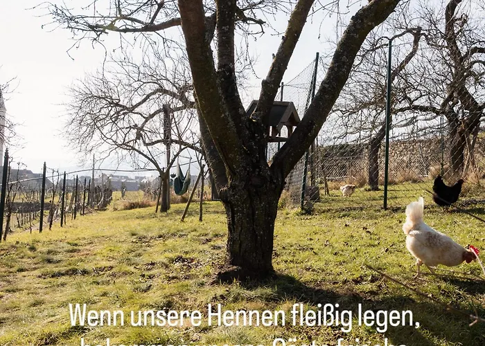 Kleinod Kirchensteig - In Der Wachau